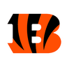 CIN logo